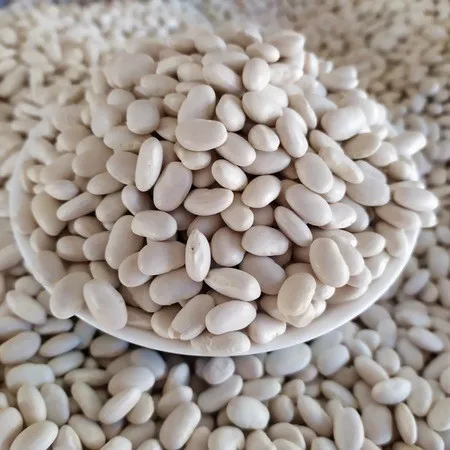 Meşhur Ahlat Kuru Fasulye 1 kg