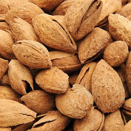 Kabuklu Yaban Bademi 1 kg