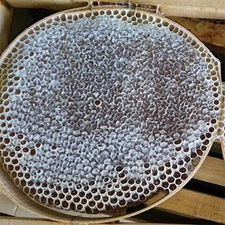 KaraKovan Kasnak Petek Bal, 1,5 kg 